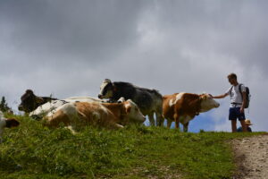 _DSC0129